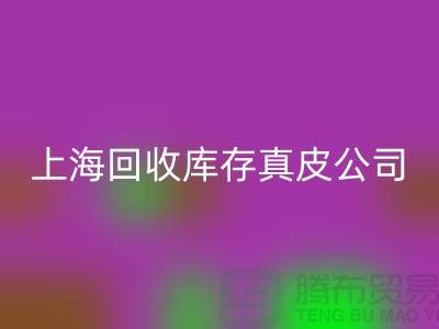 环保与创新：回收库存真皮和羊皮的重要性_上海腾布贸易ShTengBu.com