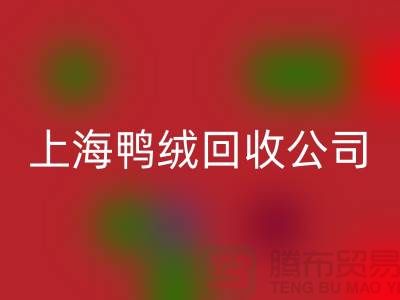 鸭绒回收公司 - 您的羽绒旧物重生之路 - 上海腾布贸易有限公司