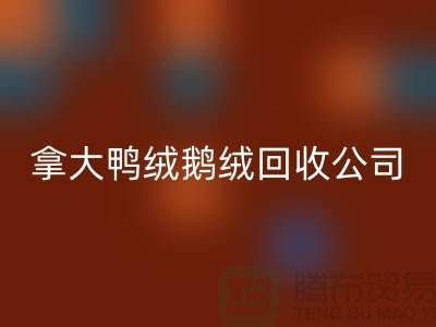 探秘加拿大鸭绒鹅绒回收公司：环保与品质的双重坚守