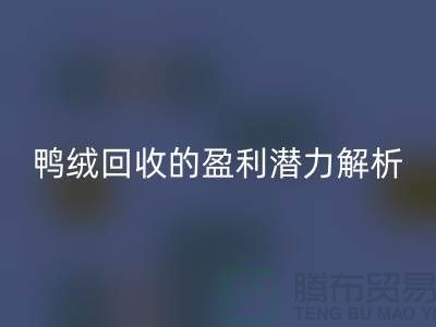 鸭绒回收的盈利潜力解析——上海腾布贸易地址