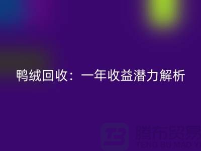 鸭绒回收：一年收益潜力解析@上海腾布贸易