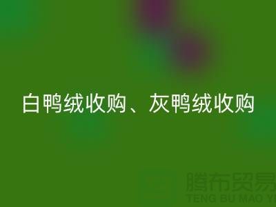 白鸭绒收购、灰鸭绒收购、白鹅绒收购、灰鹅绒收购、上海羽绒回收厂家