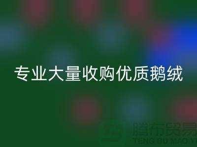 专业羽绒回收：大量收购优质鹅绒与鸭绒@开云集团官网首页