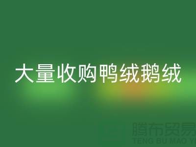 专业羽绒回收-大量收购鸭绒鹅绒-杭州服装回收厂家