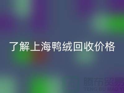 了解上海鸭绒回收价格，掌握最新市场动态