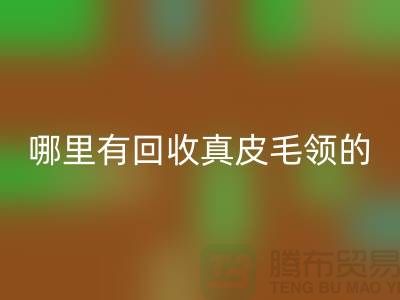 哪里有回收真皮毛领的地方-上海腾布贸易有限公司