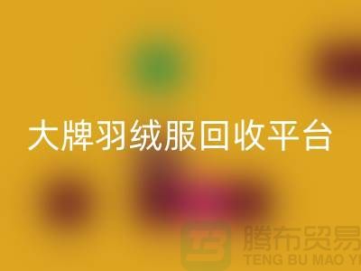 羽绒服焕新记：大牌回收，温暖再续
