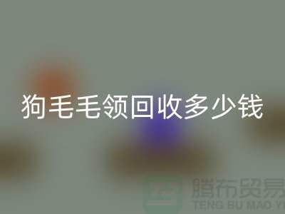 狗毛毛领回收多少钱一条