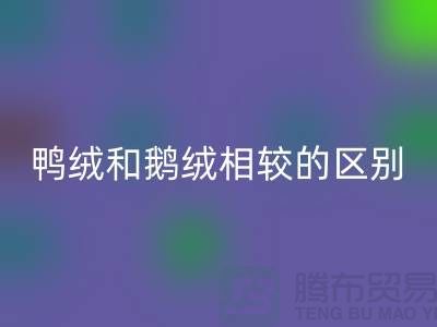 鸭绒和鹅绒相较后的区别-90鸭绒回收-库存羽绒回收公司