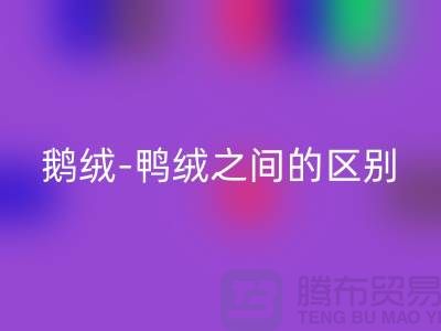 关于鹅绒-鸭绒之间的区别-鹅绒回收-鸭绒回收-羽绒回收厂家