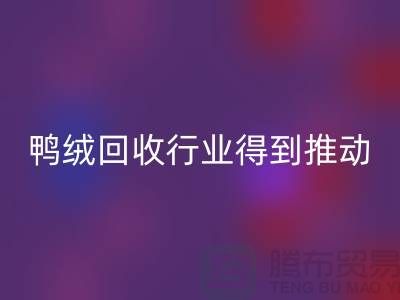 90鸭绒回收行业2021年得到极大的推动_上海腾布贸易有限公司