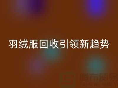 环保时尚潮流：羽绒服回收引领新趋势