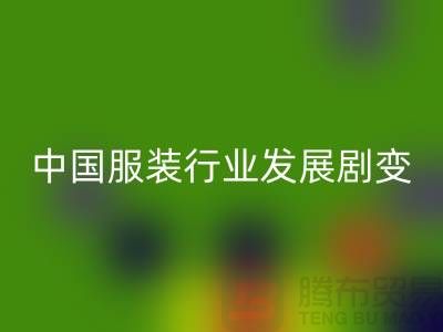 中国服装行业发展剧变-成败重要途径-上海库存服装回收公司