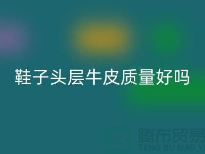 鞋子头层牛皮和超纤皮哪个好——回收真皮厂家