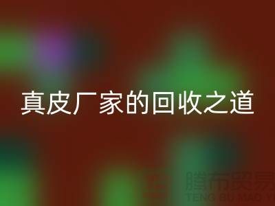 探寻真皮厂家的回收之道：打造环保时尚新潮流
