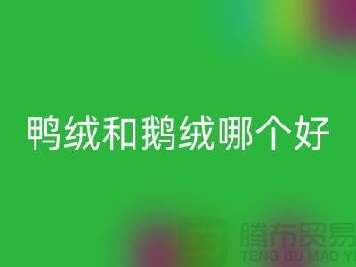 855f7cd60585a9e01842835fe76774ef_1.png