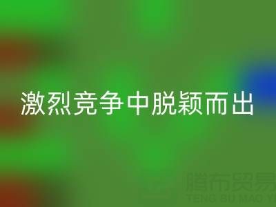 上海库存布料回收市场：如何在激烈竞争中脱颖而出