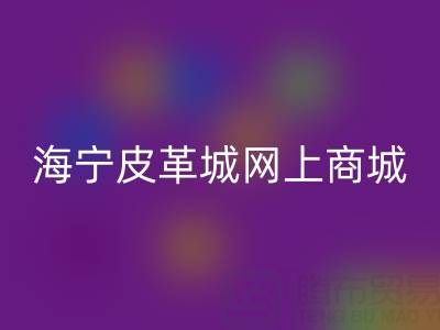 海宁皮革城网上商城详细地址